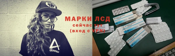 дурь Инсар