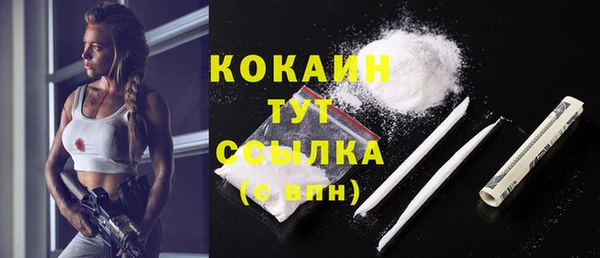 дурь Инсар
