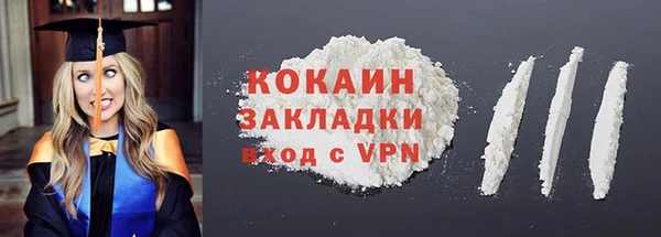 бошки Инта