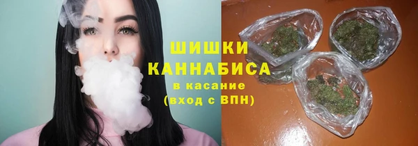 бошки Инта