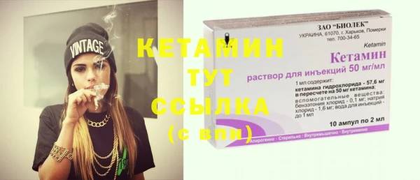 дурь Инсар