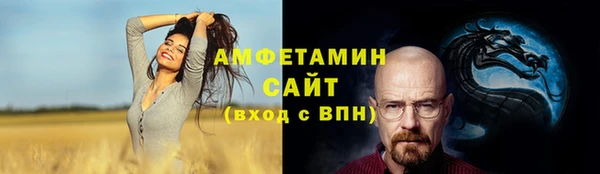 бошки Инта