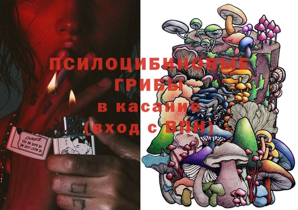 дурь Инсар