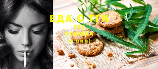 дурь Инсар
