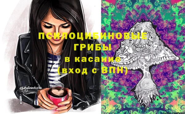 дурь Инсар