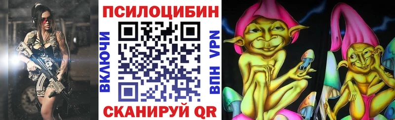 Купить где  Железногорск-Илимский  Галлюциногенные грибы Cubensis 